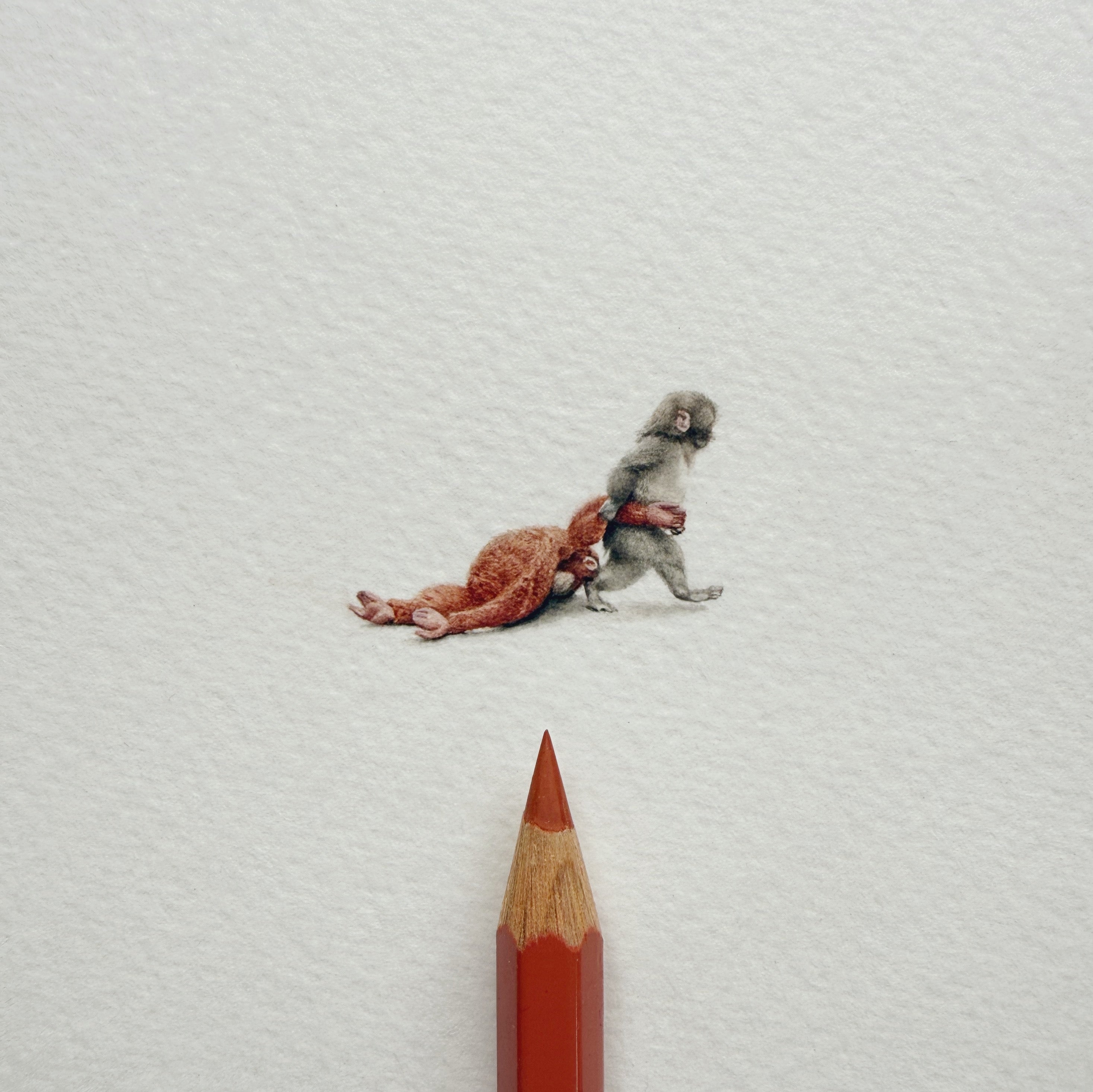 Punch the Japanese Macaque Artist Proofs